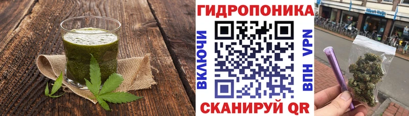 KRAKEN зеркало  Зеленоградск  Canna-Cookies конопля  сколько стоит 