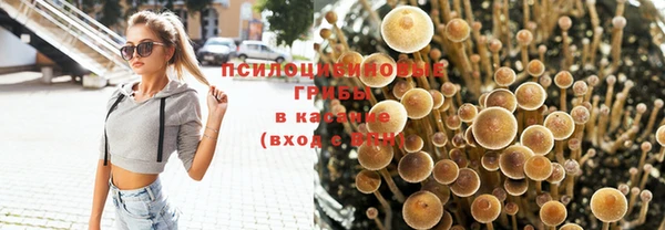 2c-b Алзамай