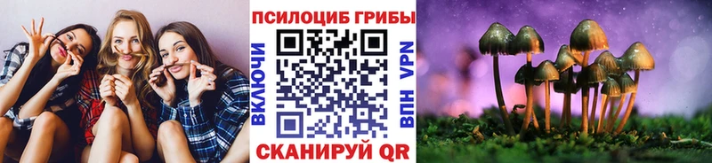 Галлюциногенные грибы Cubensis Зеленоградск